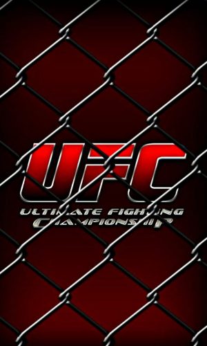 HD-wallpaper-ufc-mma-fight-cage